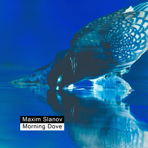 欧美人与禽性猛交狂性摘花
