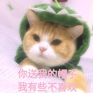 欧美人与禽性猛交狂性摘花
